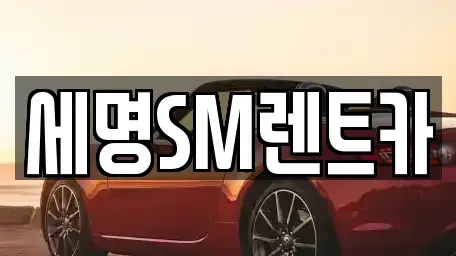 부산 중구 남포동1가 렌트카 전문 세명SM렌트카