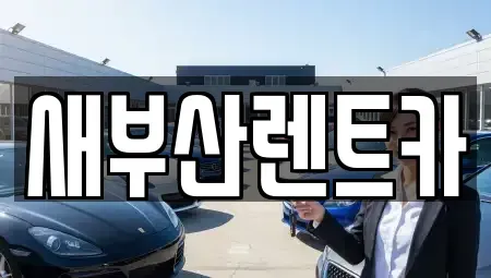 부산 중구 보수동2가 렌트카 전문 새부산렌트카