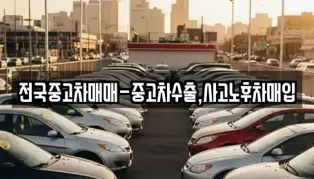 부산 중구 중고차 전문 전국중고차매매-중고차수출,사고노후차매입