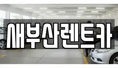 부산 중구 창선동1가 렌트카 전문 새부산렌트카