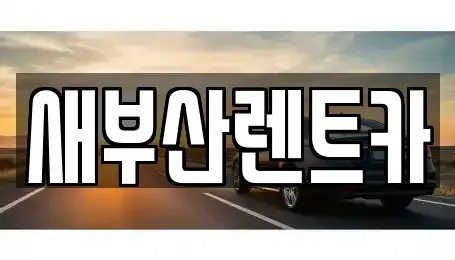 부산광역시 부산진구 단기렌트카 전문 새부산렌트카