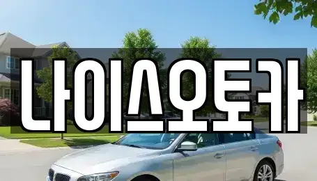 부산광역시 부산진구 범전동 장기렌트카 전문 나이스오토카