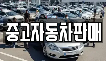 부산광역시 부산진구 범전동 중고차 전문 중고자동차판매
