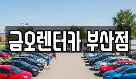 부산광역시 부산진구 장기렌트카 전문 금오렌터카 부산점