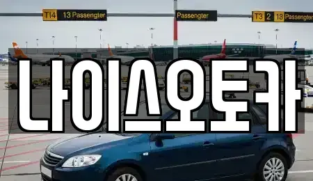 부산광역시 부산진구 장기렌트카 전문 나이스오토카