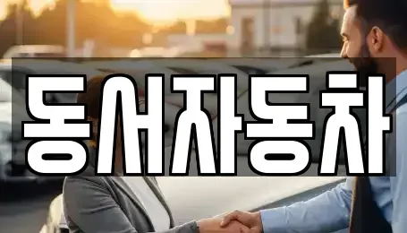 부산광역시 부산진구 중고차 전문 동서자동차