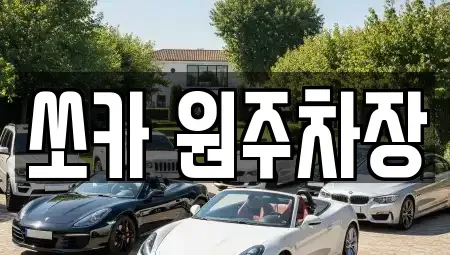 부산광역시 사상구 괘법동 렌트카 전문 쏘카 원주차장
