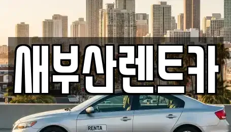 부산광역시 서구 토성동2가 렌트카 전문 새부산렌트카