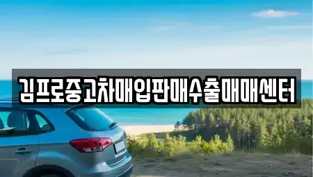 부산광역시 서구 토성동2가 중고차 전문 김프로중고차매입판매수출매매센터