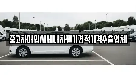 부산광역시 서구 토성동2가 중고차매입 전문 중고차매입시세내차팔기견적가격수출업체