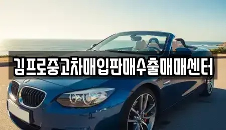 부산광역시 영도구 동삼동 중고차 전문 김프로중고차매입판매수출매매센터