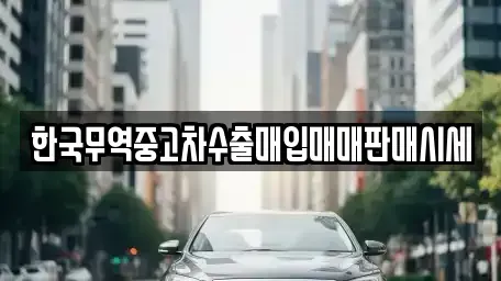 부산광역시 영도구 동삼동 중고차 전문 한국무역중고차수출매입매매판매시세