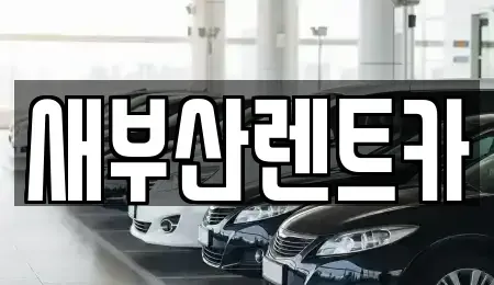 부산광역시 영도구 영선동1가 렌트카 전문 새부산렌트카