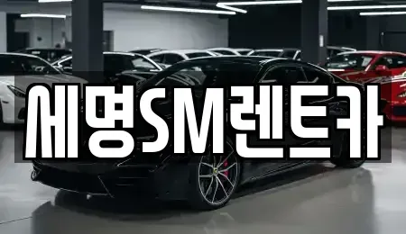 부산광역시 영도구 영선동1가 렌트카 전문 세명SM렌트카