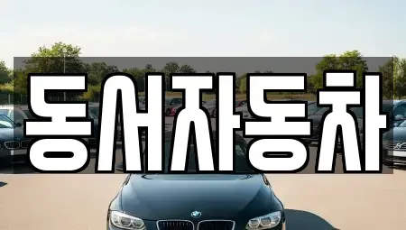 부산광역시 영도구 영선동1가 중고차매매 전문 동서자동차