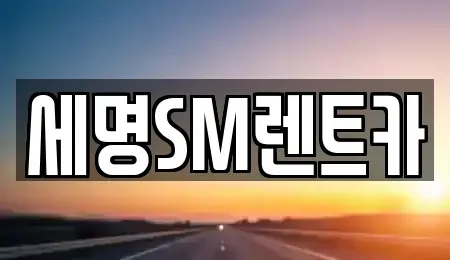 부산광역시 중구 광복동1가 렌트카 전문 세명SM렌트카