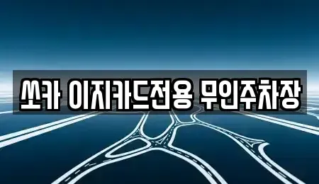 부산광역시 중구 광복동1가 렌트카 전문 쏘카 이지카드전용 무인주차장