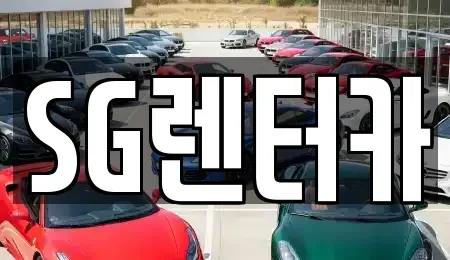 부산광역시 중구 남포동6가 렌트카 전문 SG렌터카