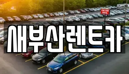 부산광역시 중구 남포동6가 렌트카 전문 새부산렌트카
