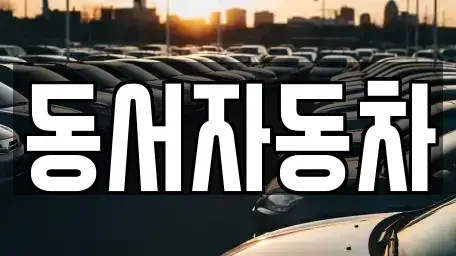 부산광역시 중구 남포동6가 중고차 전문 동서자동차