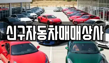 부산광역시 중구 남포동6가 중고차 전문 신구자동차매매상사