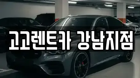서울 강남구 렌트카 전문 고고렌트카 강남지점