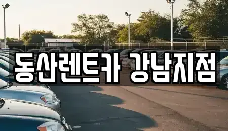 서울 강남구 렌트카 전문 동산렌트카 강남지점