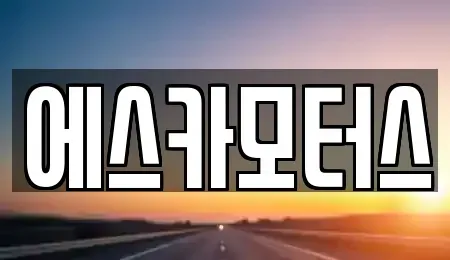 서울 강남구 중고차매매 전문 에스카모터스