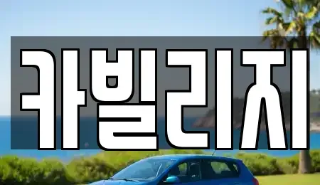 서울 강남구 중고차매매 전문 카빌리지