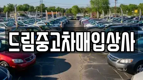 서울 강남구 중고차매입 전문 드림중고차매입상사