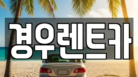 서울 강서구 공항동 장기렌트카 전문 경우렌트카