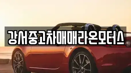 서울 강서구 공항동 중고차매매,단기렌트카,중고차매입,장기렌트카,중고차,렌트카