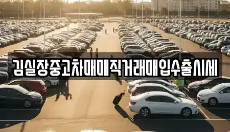 서울 강서구 공항동 중고차매매 전문 김실장중고차매매직거래매입수출시세
