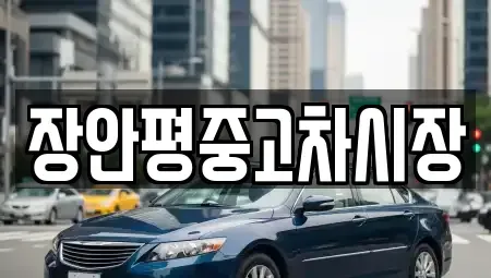 서울 강서구 공항동 중고차매매 전문 장안평중고차시장