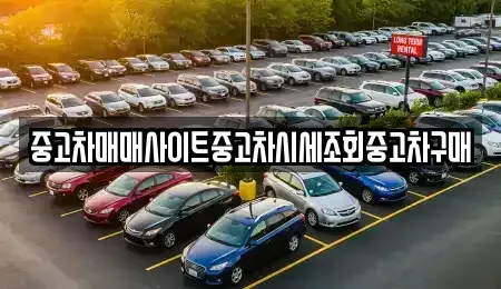 서울 강서구 공항동 중고차매매 전문 중고차매매사이트중고차시세조회중고차구매