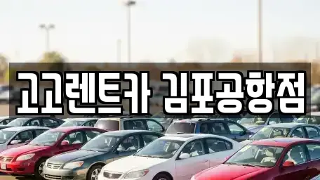 서울 강서구 오곡동 렌트카 전문 고고렌트카 김포공항점