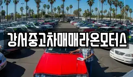 서울 강서구 오곡동 중고차매매,단기렌트카,중고차매입,장기렌트카,중고차,렌트카