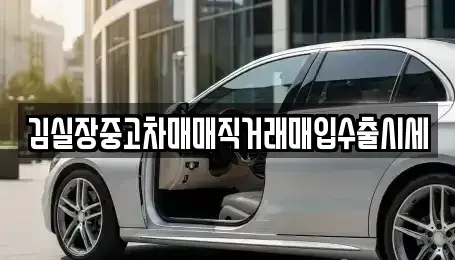 서울 강서구 오곡동 중고차매매 전문 김실장중고차매매직거래매입수출시세
