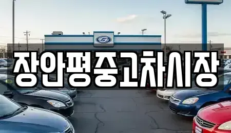 서울 강서구 오곡동 중고차매매 전문 장안평중고차시장
