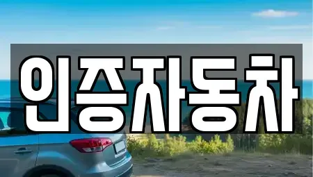 서울 동대문구 휘경동 중고차 전문 인증자동차