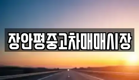 서울 동작구 흑석동 중고차 전문 장안평중고차매매시장