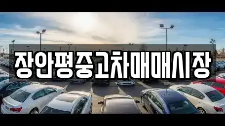 서울 동작구 흑석동 중고차 전문 장안평중고차매매시장