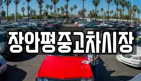 서울 동작구 흑석동 중고차 전문 장안평중고차시장