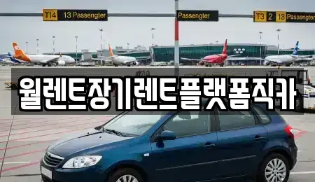 서울 마포구 신수동 렌트카 전문 월렌트장기렌트플랫폼직카