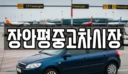 서울 마포구 신수동 중고차매매 전문 장안평중고차시장