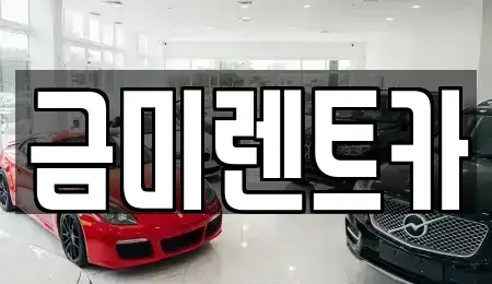 서울 마포구 토정동 렌트카 전문 금미렌트카