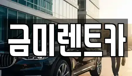 서울 마포구 토정동 렌트카 전문 금미렌트카