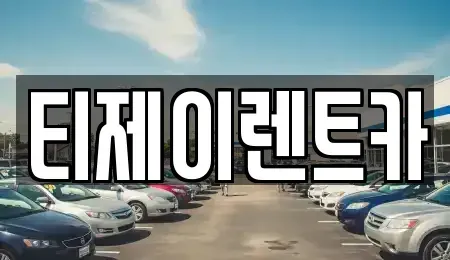 서울 마포구 토정동 렌트카 전문 티제이렌트카