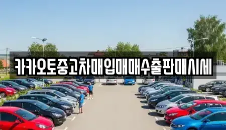 서울 마포구 토정동 중고차매입 전문 카카오토중고차매입매매수출판매시세