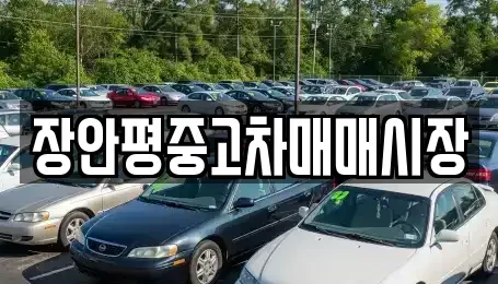 서울 서대문구 홍은동 중고차매매 전문 장안평중고차매매시장